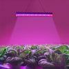 Unlock the Power of T5 4.8W 15 LEDs Red + Blue Plant Growth Light: A Greenhouse and Aquarium Game-Changer