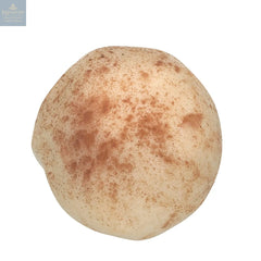 Cappuccino truffle - in white chocolate with cocoa dusting 13.5g