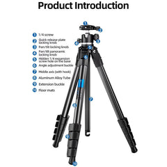 BEXIN TA255-BS30 Portable Collapsible Aluminum Alloy Camera Tripod with Head, TA255-BS30