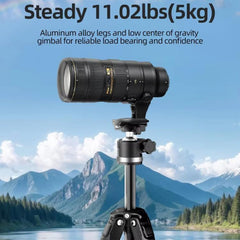 BEXIN TA255-BS30 Portable Collapsible Aluminum Alloy Camera Tripod with Head, TA255-BS30