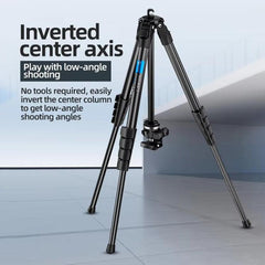 BEXIN TA255-BS30 Portable Collapsible Aluminum Alloy Camera Tripod with Head, TA255-BS30