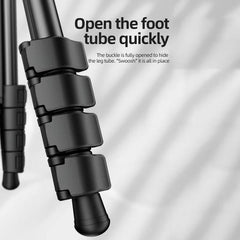 BEXIN TA255-BS30 Portable Collapsible Aluminum Alloy Camera Tripod with Head, TA255-BS30