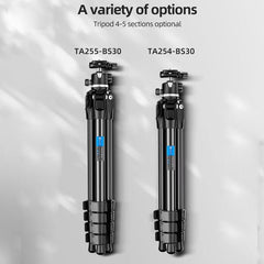BEXIN TA255-BS30 Portable Collapsible Aluminum Alloy Camera Tripod with Head, TA255-BS30