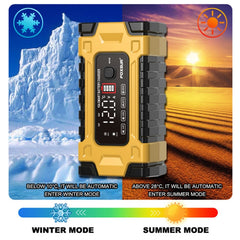 FOXSUR 12V / 24V / 10A Car / Motorcycle Battery Smart Repair Lead-acid Battery Charger