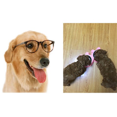 2 in 1 Stainless Steel Bowls, Anti-slippery Mat Cartoon Shape Detachable Pets Bowls, Random Color Delivery