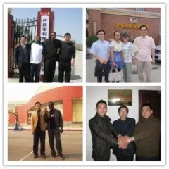 Cheap 13x1 Lace Pixie Cut Curly Wig Natural Brazilian 150% Density Pixie Curly Human Hair Wig 100% Human Hair