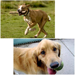 PU156_6.jpg@7119d4427fb4389bebbcfd1953868b92