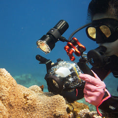 PULUZ Dual Ball Clamp Open Hole Diving Camera Bracket CNC Aluminum Spring Flashlight Clamp for Diving Underwater Photography System, Dual Ball Open Hole(Red)