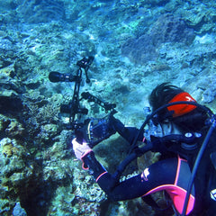 PULUZ 8 inch 20.3cm Aluminum Alloy Ball Arm for Underwater Torch / Video Light, Ball Diameter: 2.5cm, 8 inch Single Ball