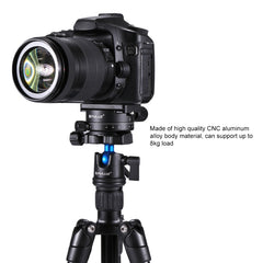 PULUZ Aluminum Alloy 360 Degree Rotation Panorama Ball Head with Quick Release Plate for Camera Tripod Head