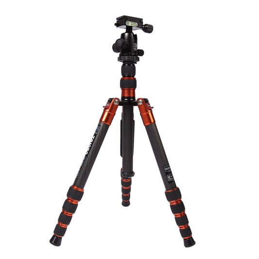 Triopo GT-2505x8.C Adjustable Portable Carbon Fiber Tripod with B-1 Aluminum Ball Head for Canon Nikon Sony DSLR Camera, GT-2505x8.C (Black), GT-2505x8.C (Gold)