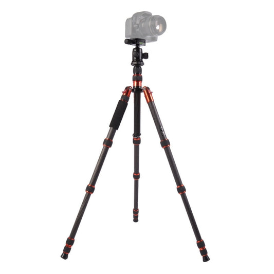Triopo GT-2505x8.C Adjustable Portable Carbon Fiber Tripod with B-1 Aluminum Ball Head for Canon Nikon Sony DSLR Camera, GT-2505x8.C (Black), GT-2505x8.C (Gold)
