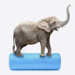 18in/45CM Yoga Foam Roller High-density EVA Muscle Roller Column Self Massage Tool for Pilates Yoga Fitness Gym Equipment