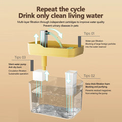 Cat Water Fountain with Quiet Pump Dog Water Filter Dispenser USB Anti-Dry Burning Pet Fountain Cat Fountain for Cats Indoor