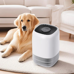 Air Purifiers for Bedroom Home, Air Filter Cleaner with Fragrance Sponge, HEPA Filter for Smoke, Allergies, Pollen, Pet Timer