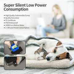 2L Cat Water Fountain Pet Drinking Bowl With LED Light & Activated Carbon Filter