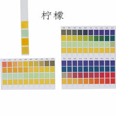 100 Strips/box pH Test Strips 0-14 Scale Premium Litmus Tester Paper Ideal for Test pH Level of Water, 100 Strips