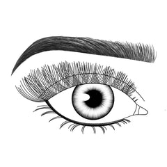 Lash FX Press and Go Self Adhesive Lashes - Rome