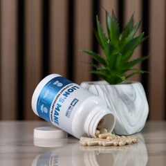 The Health Project Lion's Mane 500mg