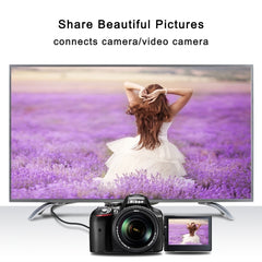 PC0392_3.jpg@8a07c7ca9671c094605c88b08ce4e67a