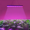 Unlock the Power of T5 4.8W 15 LEDs Red + Blue Plant Growth Light: A Greenhouse and Aquarium Game-Changer