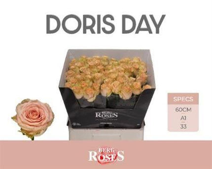 Rose - Rosa - Doris Day