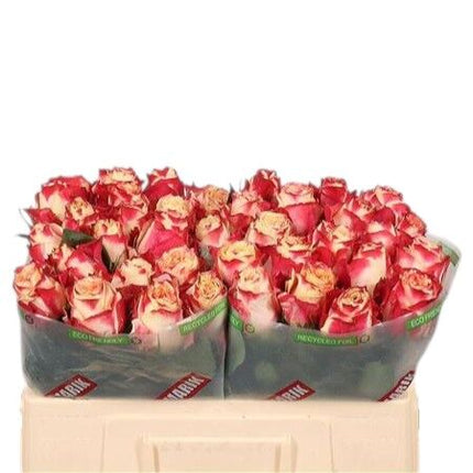 Rose - Rosa - Chapeau