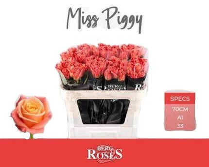 Rose - Rosa - Miss Piggy+