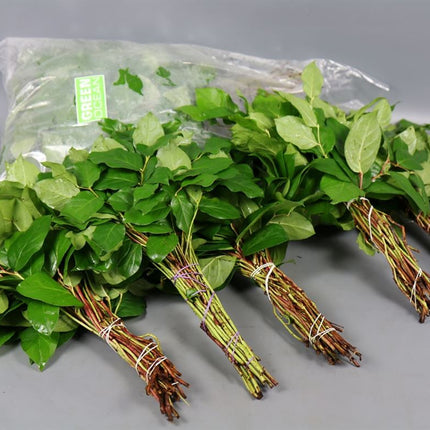 Salal Tip - Other Greenery Per Bunch