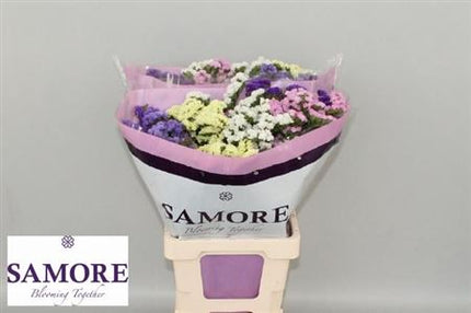 Limonium Statice Mix