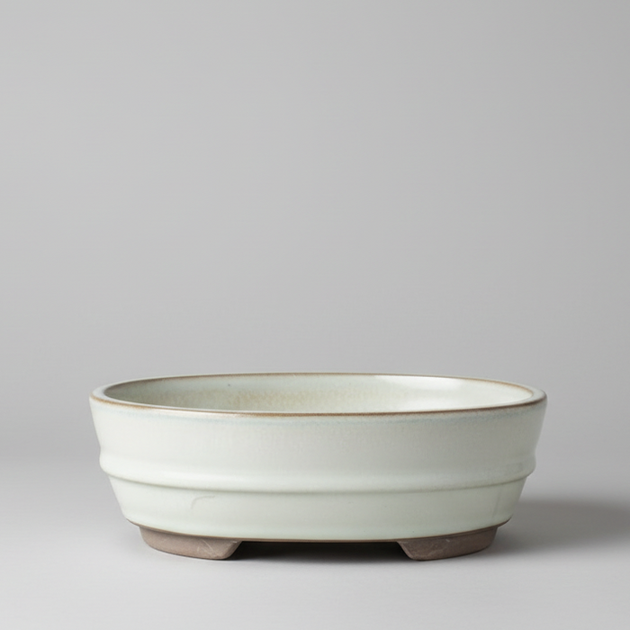 16cm Glazed Bonsai Pot | Oval | 16cm x 12cm x 3cm | White