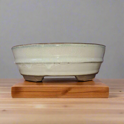 16cm Glazed Bonsai Pot | Oval | 16cm x 12cm x 3cm | White