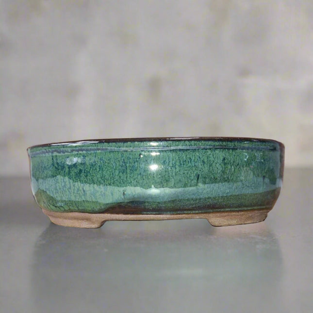 16cm Glazed Bonsai Pot | Oval | 16cm x 12cm x 3cm | Green