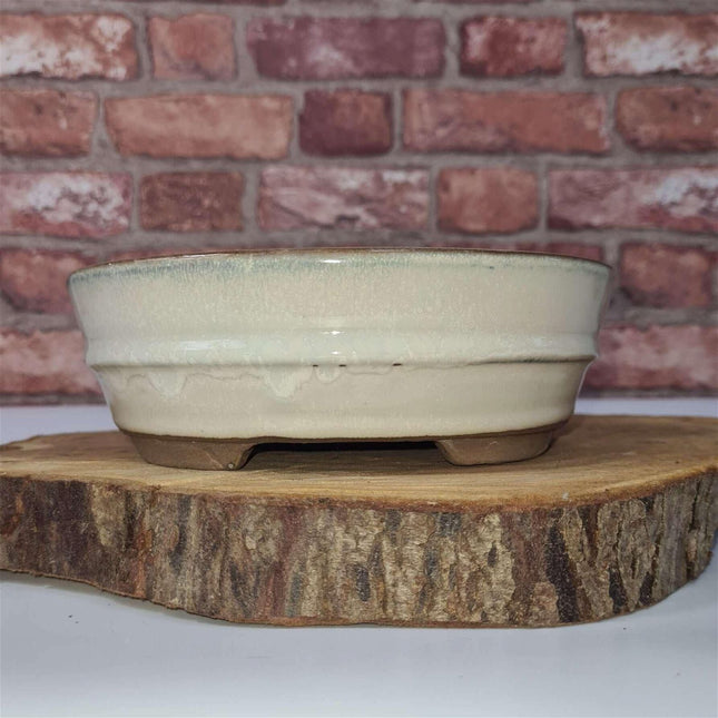 16cm Glazed Bonsai Pot | Oval | 16cm x 12cm x 3cm | White