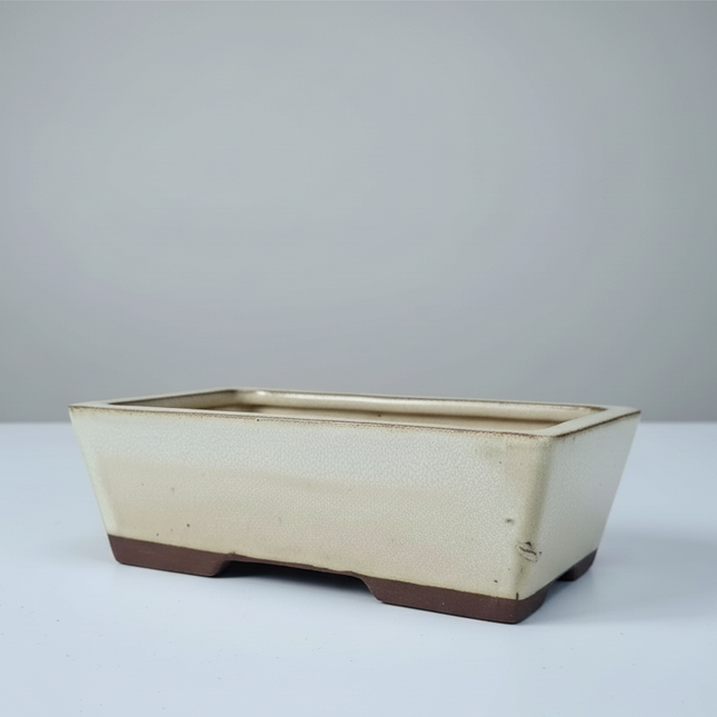 22cm Glazed Bonsai Pot | Rectangle | 22cm x 17cm x 7cm | White