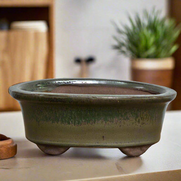 12cm Glazed Bonsai Pot | Oval | 12cm x 10cm x 5cm | Green