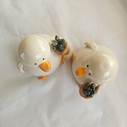 Grant with the Plant - Duck with Succulent