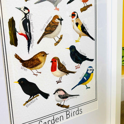 Garden British Birds Art Print-: Multiple Sizes available
