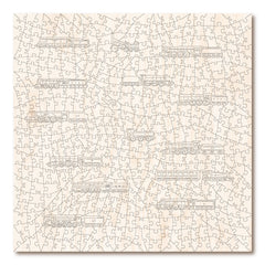 Steam Locomotives Of Britain (Large)