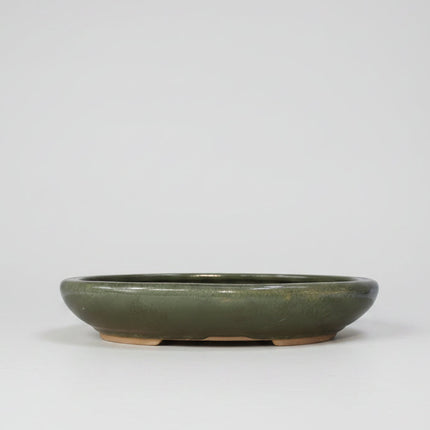 25cm Glazed Bonsai Pot | Oval | 25cm x 18cm x 4.5cm | Green