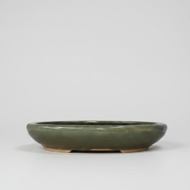25cm Glazed Bonsai Pot | Oval | 25cm x 18cm x 4.5cm | Green