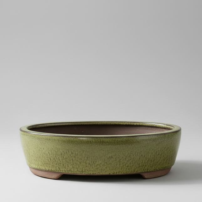 26cm Glazed Bonsai Pot | Oval | 26cm x 22cm x 6cm | Green