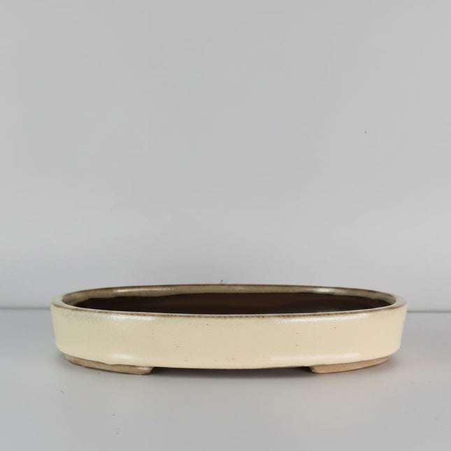 26cm Glazed Bonsai Pot | Oval | 26cm x 19cm x 4cm | Cream