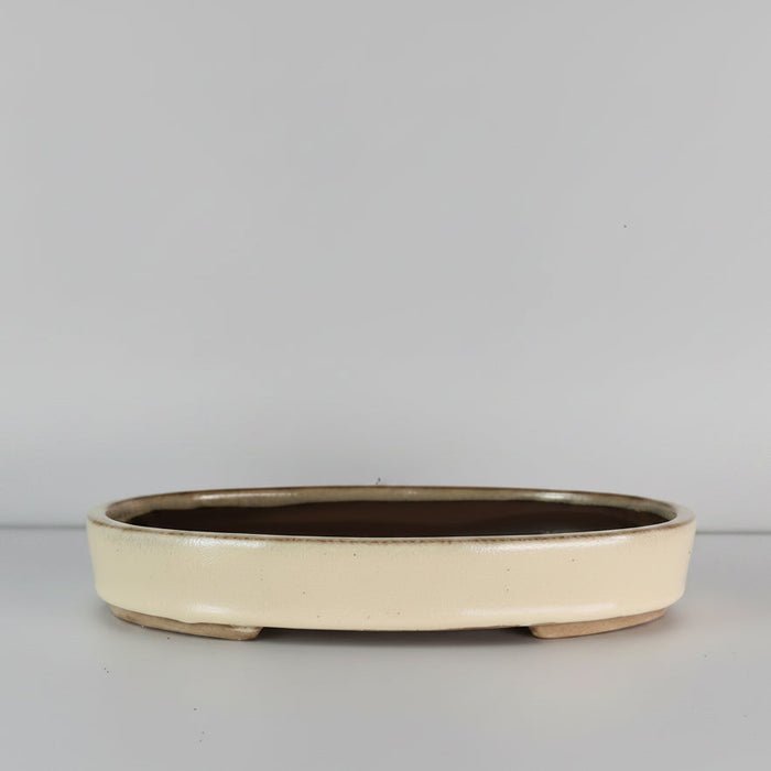26cm Glazed Bonsai Pot | Oval | 26cm x 19cm x 4cm | Cream