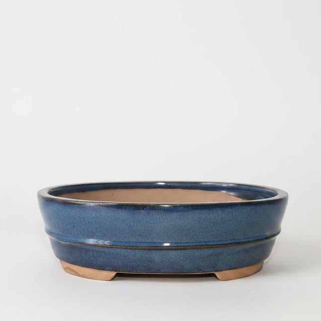 26cm Glazed Bonsai Pot | Oval | 26cm x 20cm x 8cm | Blue