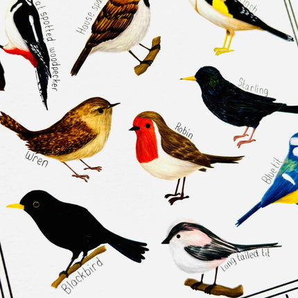 Garden British Birds Art Print-: Multiple Sizes available