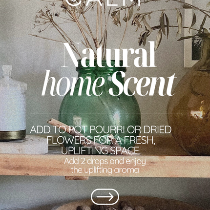 Breathe Calm – Stress Relief & Uplift Blend with Sweet Orange, Lavender & Frankincense
