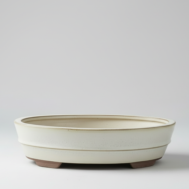 31cm Glazed Bonsai Pot | Oval | 31cm x 24cm x 7cm | White
