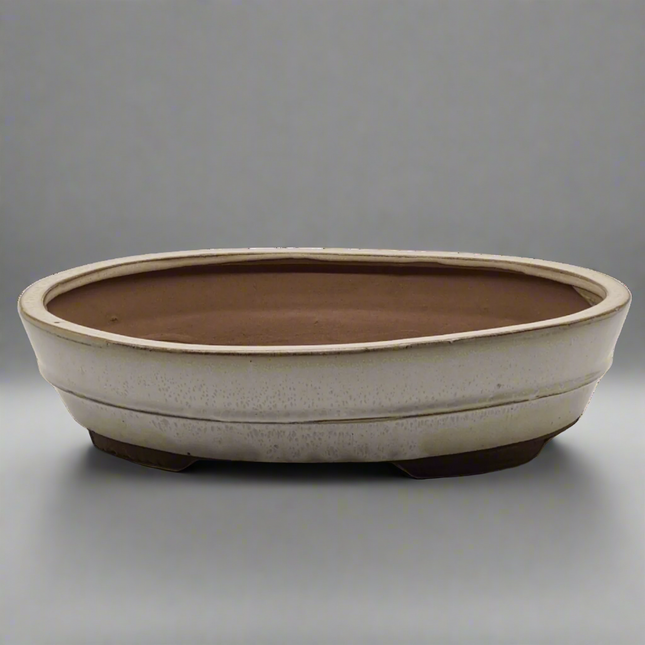 31cm Glazed Bonsai Pot | Oval | 31cm x 24cm x 7cm | White