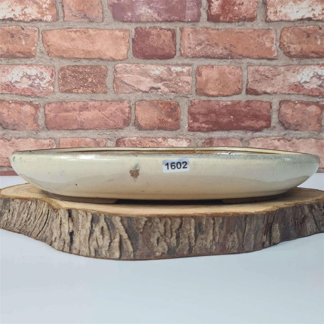 31cm Glazed Bonsai Pot | Oval | 31cm x 22cm x 4.5cm | White